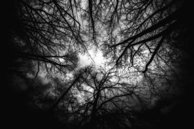 Low angle view of silhouette trees against sky