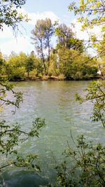 Scenic view of lake in forest against sky