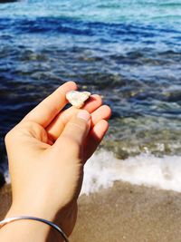 Close-up of hand holding sea shore