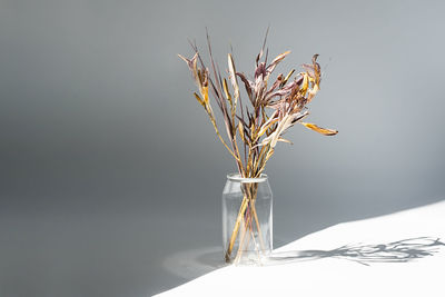 Withered flowers bouquet in plastic bottle to reduce waste. dried flowers eco friendly home decor.