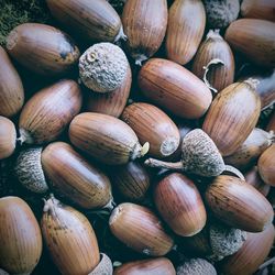 Full frame shot of acorns for sale