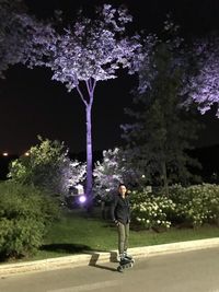 Full length of man standing by illuminated tree at night