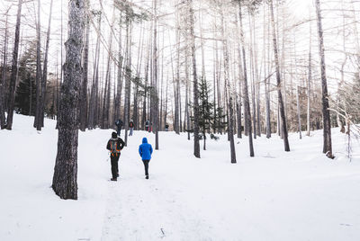 Rear view of people walking on snow covered trees