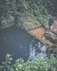 Rear view of person walking by plants