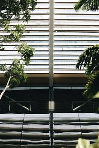 Low angle view of palm tree by building