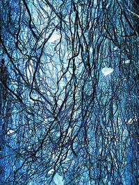 Low angle view of bare trees against blue sky