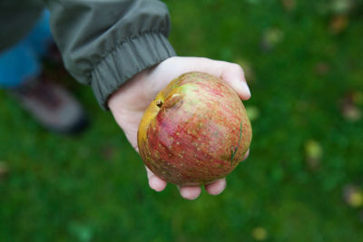 Close-up of hand holding apple