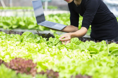 Midsection of person having food in plant