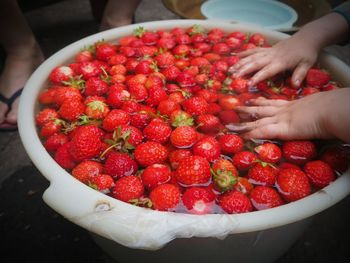 Low angle view of person holding strawberries