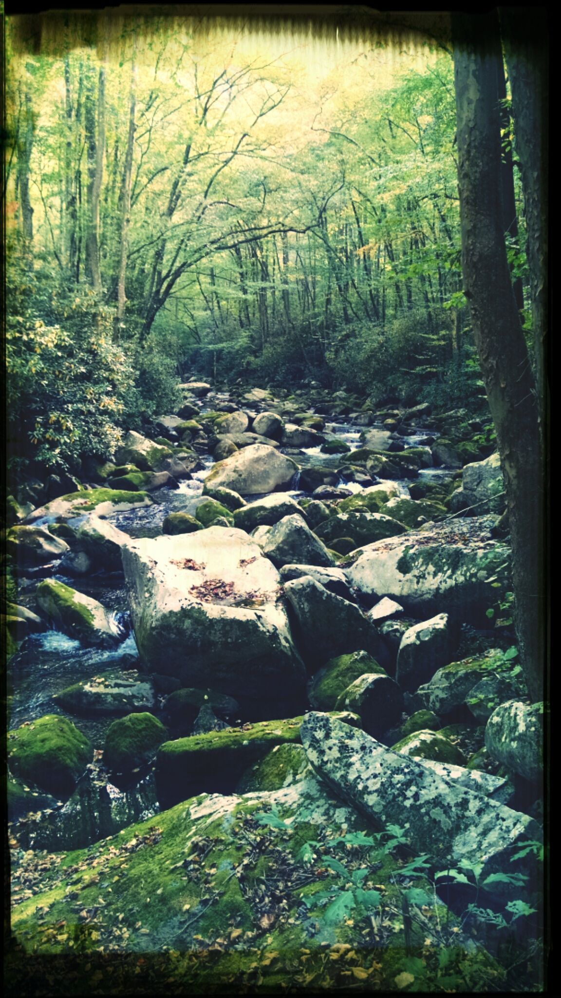 Rocks in a river