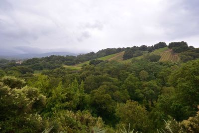 Scenic view of landscape against cloudy sky