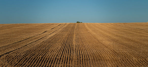 Scenic view of farm against clear sky
