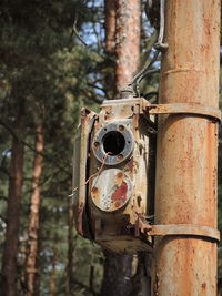 Close-up of rusty pipe