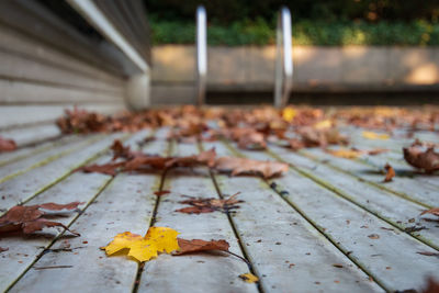 Closed swimming pool with coloful leaves on the cover in autumn symbolizing summer season is over