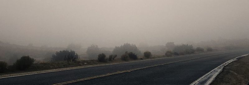 Road by trees against sky during foggy weather