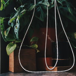 Close-up of potted plant hanging on rope