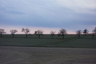 Trees on field against sky