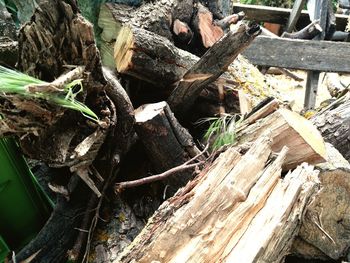 Close-up of stack of logs