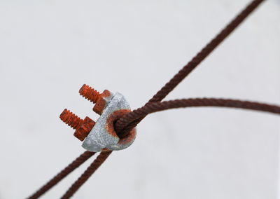 Close-up of rope on metal fence against sky