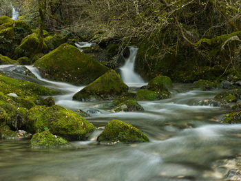 water