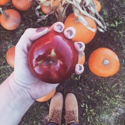 Low section of person holding pumpkin