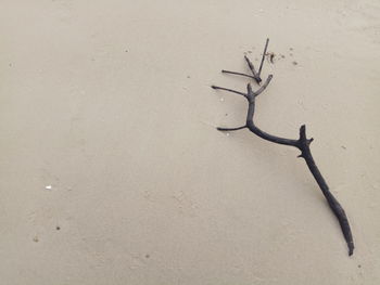 Close-up of sand on beach