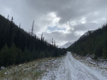 Panoramic view of road amidst trees against sky