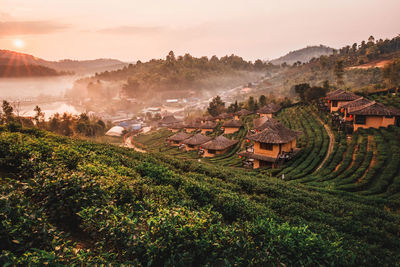 Scenic view of agricultural field by houses against sky