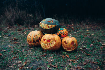 High angle view of jack o lanterns on field in forest