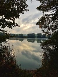 Scenic view of lake in forest against sky