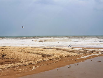 Scenic view of beach against sky