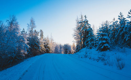 Road amidst trees against sky