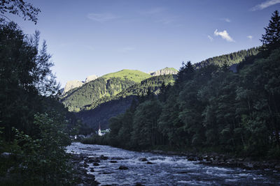 Scenic view of river amidst trees against sky