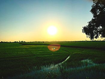 Scenic view of field against sky during sunset