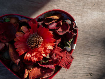 High angle view of red flower on table