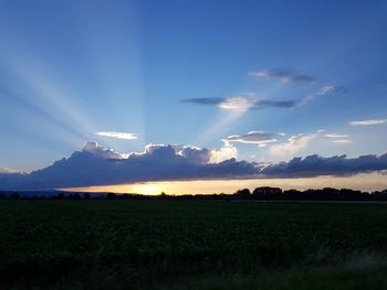 Scenic view of field against sky during sunset