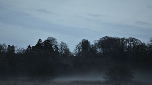 Silhouette trees in forest against sky