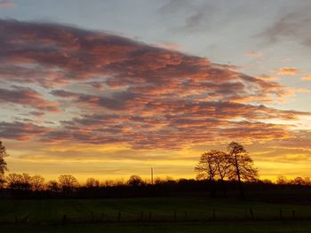 Silhouette trees on field against sky during sunset