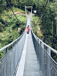 View of footbridge in forest