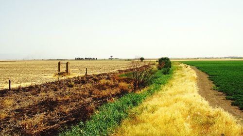 Dirt road in field