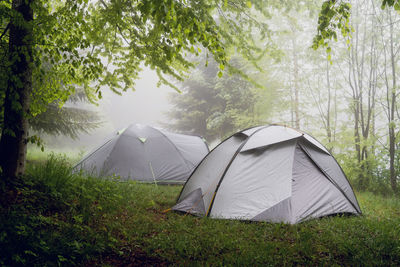 Tent on field against trees in forest