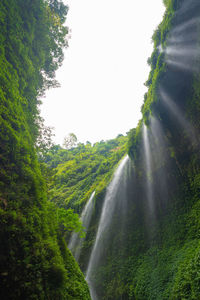 Low angle view of waterfall