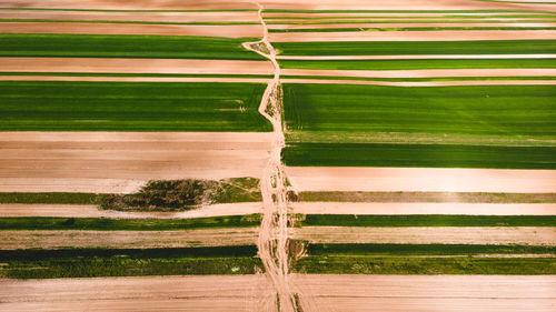 Full frame shot of agricultural field