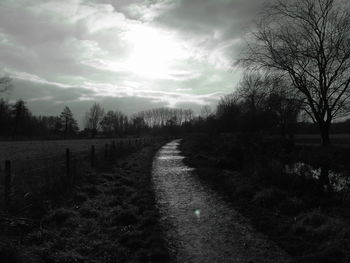 Dirt road amidst plants against sky