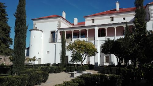 Low angle view of trees and houses against blue sky