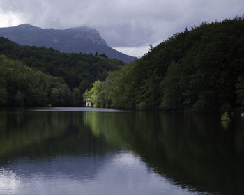 Scenic view of lake by trees against sky