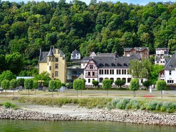 Trees and houses along the rhine river in germany