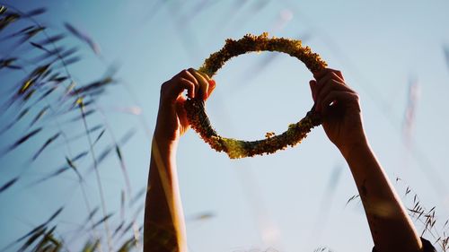Low angle view of hand holding plant against sky
