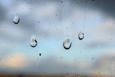 Close-up of raindrops on snow