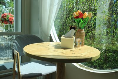 Potted plant on table